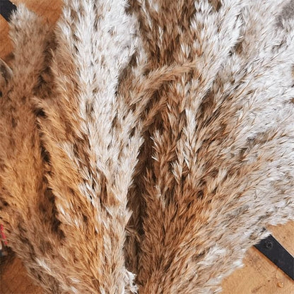 20 Pcs 27 Inch Tall Fluffy Pampas Grass XL Size Brown Dry Pompous Grass Decor Wedding Flower Boho Decor Natural Pompas Flower Bouquet (Brown, 27 inch)