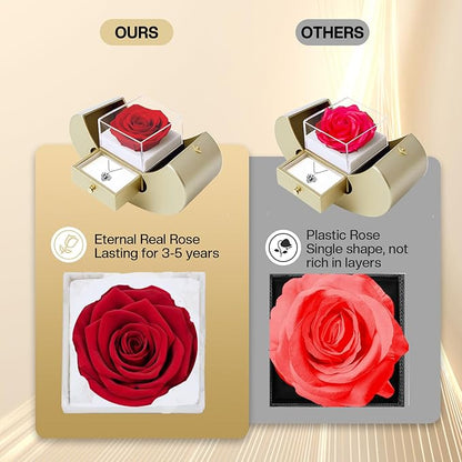 moshen Preserved Rose Set with I Love You Necklace 100 Languages, Gifts for Wife Girlfriend Mom Women Her (beige)