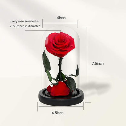 NATROSES Handmade Preserved Roses in Glass Dome, Red Roses, Preserved Flowers Gifts for Women, Mothers Day Flowers