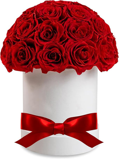 27 Forever Roses Dome in White Box, Eternal Real Roses Gifts for Women, Preserved Flowers for Delivery Prime, Anniversary, Valentine's Day, Christmas, Birthday for Her (Red)