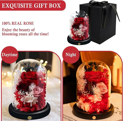 FIACO Preserved Flowers Christmas Rose Gifts for Women, Birthday Gifts Eternal Rose in Glass Dome Long-Lasting Real Forever Flowers Gifts for Mom Grandma Wife Girlfriend Red