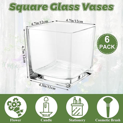 6 Pack 5 x 5 x 5 Inch Square Glass Vases, Clear Square Vases for Centerpiece, Cube Flower Vase for Candle Holder Events Wedding Party Home Decoration