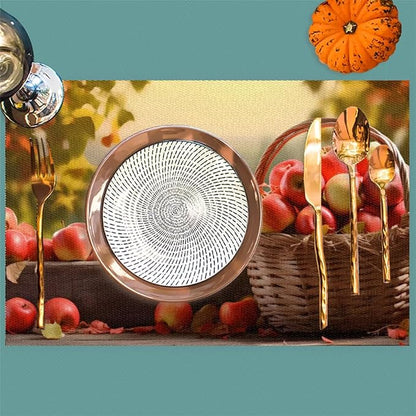 Fall Fruit Apple Placemats Set of 4 PVC Vinyl Non Slip Table Mats Waterproof Heat Resistant Place Mats Washable Wipeable Dining Table Mat for Kitchen Party Farmhouse Indoor Outdoor Decorative