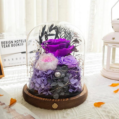 Large Preserved Flowers with Card&Box-Flowers for Delivery Prime,Eternal Rose with Lights,Roses in Glass Dome,Romantic Gift for Her,Decoration,Fresh Rose Flowers for Mom,Birthday,Anniversary (Purple)