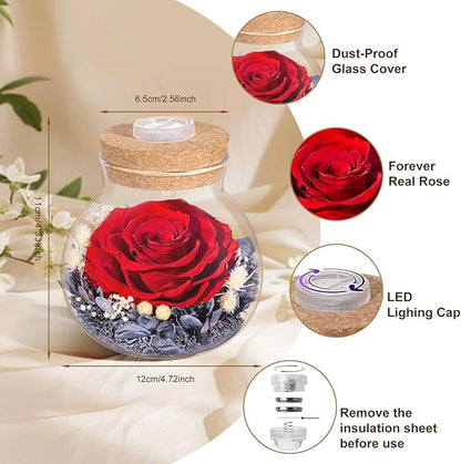 Christmas Birthday Gifts for Women Mom Preserved Rose Eternal Forever Flower in Glass Wishing Bottle with Colorful LED Light Flowers for Delivery Prime for Grandma Wife Sister Friend from Daughter Red