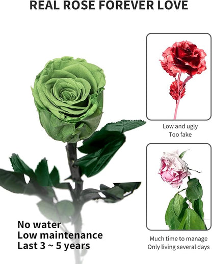 Green Flowers for Delivery Prime, Preserved Green Roses Flower Gifts for Women, Real Roses Single Rose Gifts for Her, Mom Birthday Gifts from Daughter, Valentines Flowers