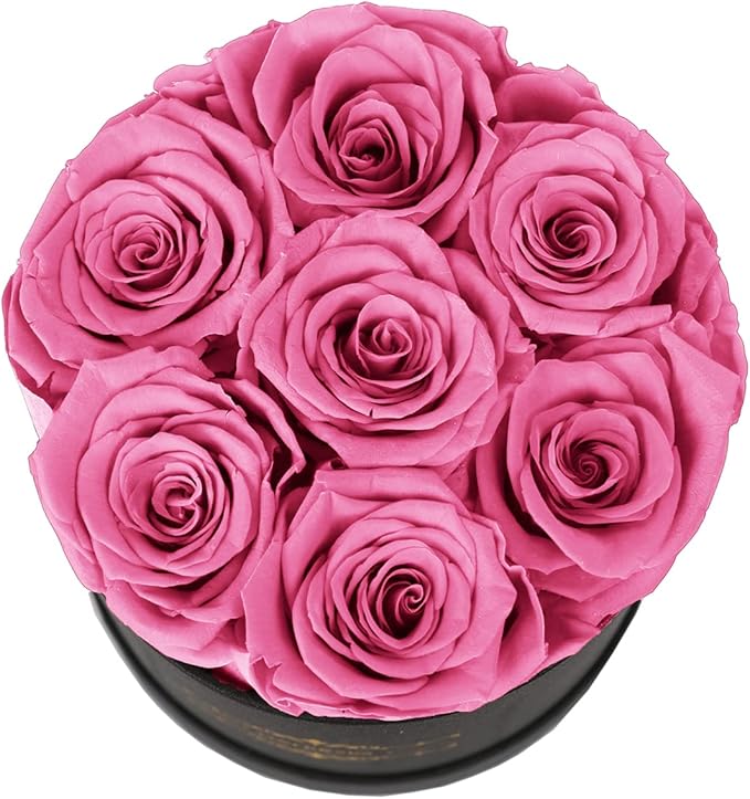 NATROSES 7 Piece Preserved Roses in a Box, Preserved Flowers for Birthday, Flower Gifts for Mothers Day (Pink)