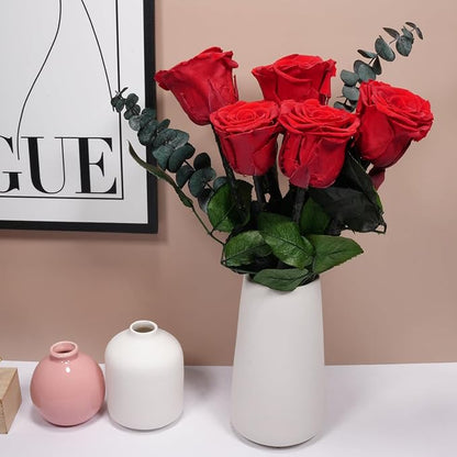 Yamonic Preserved Flowers Rose for Women Mom, Mom Birthday Rose Gifts for Mother, Real Flower Rose for Her, Grandma, Wife, Girlfriend Gifts on Valentine's Day, Mothers Day,Anniversary