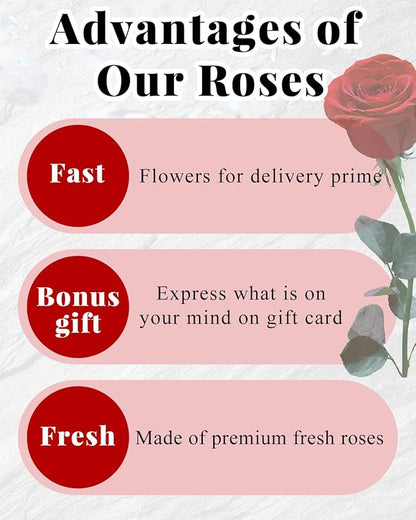 Changshunqi Forever Flowers, Preserved Real Rose in Box Preserved Flowers for Delivery, Eternal Rose Flower Last 2-3 Years, Anniversary Roses Forever Birthday Gifts for Women Mothers, Wife, Her, Mom