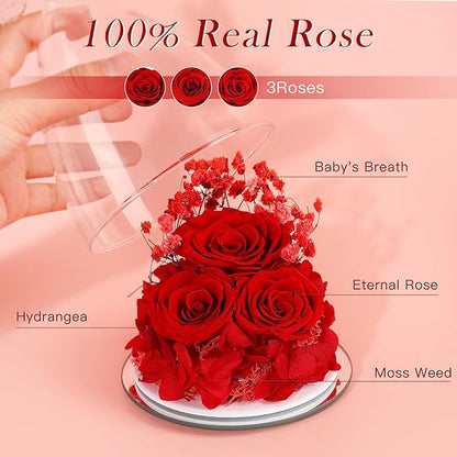 FIACO Preserved Flower Rose for Women, Forever Eternal Fresh Flowers in Glass Angel Figurines Flowers for Delivery Prime Red Roses for Grandma Mom Sister Her Wife on Mothers Day Birthday