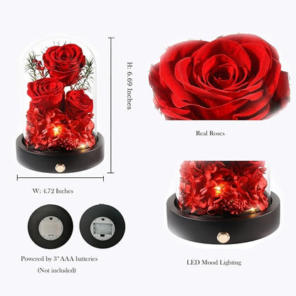 Forever Christmas Flowers for Delivery, Preserved Rose in Glass Dome with LED.Red Eternal Flowers Gifts for Women Wife Mom on Mothers Day, Valentines Day, Anniverysary, Birthday
