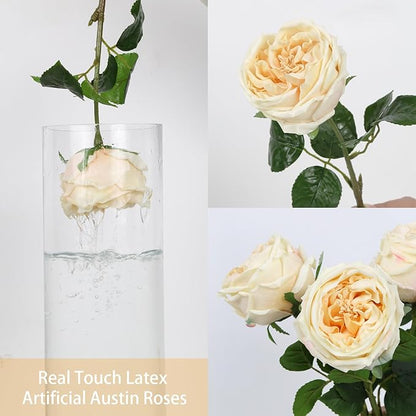 IPOPU 5PCS Real Touch Austin Roses Champagne Flowers Peony Artificial Flowers Fake Roses with Stems for Wedding Bouquet Party Home Decor(Champagne)