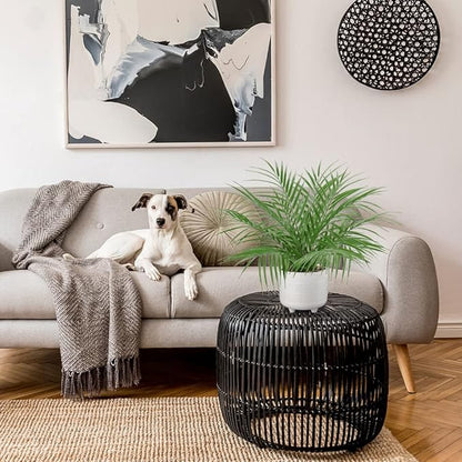 Hollyone Large Artificial Potted Plants Fake Palm Plants 19" Faux Green Plant Plastic Tropical Palm Tree in White Ceramic Pots Bohemian for Home Room Office House Indoor Decoration
