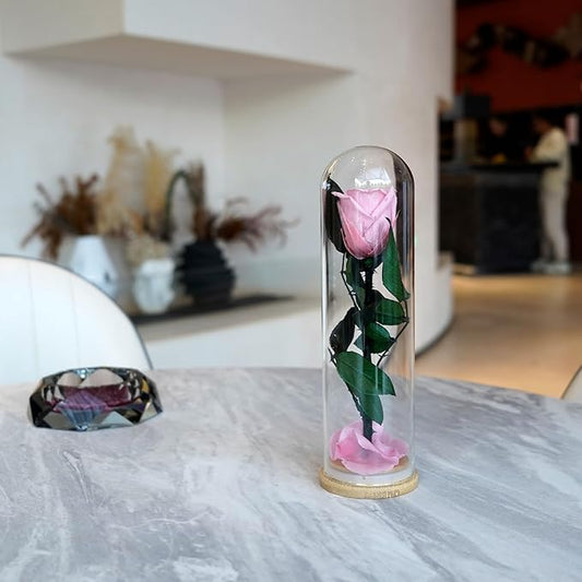 9.8 inches Preserved Rose in Glass Dome Rose with Green Leaves Eternal Love and Natural Beauty for Grandma Mom Girlfriend Classmate Friend Lover (Pink)