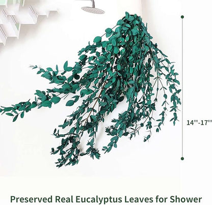 Dried Eucalyptus Leaves Preserved Greenery Stems, 8-14 PCS Eucalyptus Garland Branches, 4 OZ Blue Leaves Plant Bundle for Wedding Wreath Party Home Decor Vase Filler