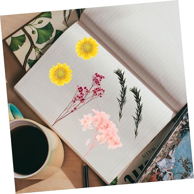 Natural Dried Flowers Material Bag for DIY Crafts Pressed Floral Bouquet Making Kit Romantic Handcraft Supplies for Greeting Cards Home Decoration and Wedding Embellishments