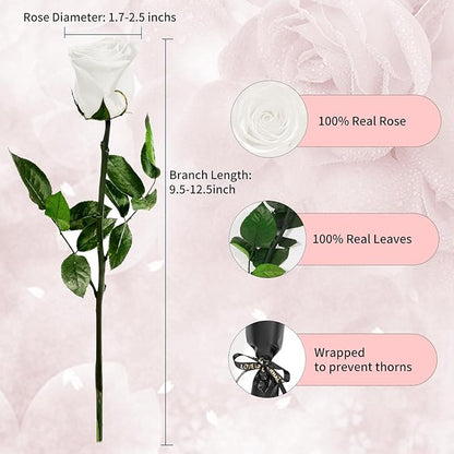 White Single Forever Roses in a Box,Preserved Flowers for Delivery,Preserved Rose Gifts for Women, Real Roses Gift for Her, Mom Birthday Gifts, Mothers Day Flowers,Valentines Flowers