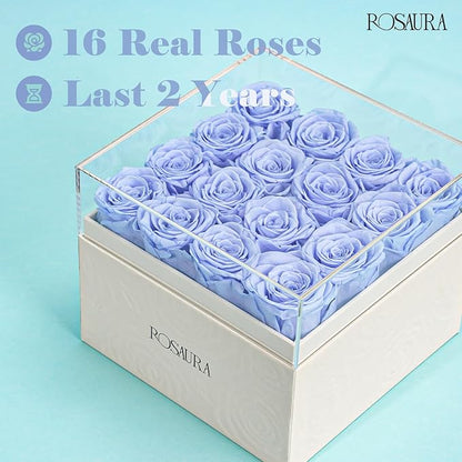 Rosaura Square Preserved Roses Gift Box - Real Forever Flowers in Clear Acrylic Lid, Valentine's for Women (Sky Blue, 16 Roses)
