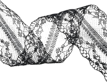 80 Yards Black Lace Trim Ribbon,8 Rolls Crochet Sewing Assorted Patterns Vintage Floral Lace Ribbons for Sewing DIY,Gift Wrap,Scrapbooking, Bridal Shower Wedding Decor, 10 Yards Each Roll