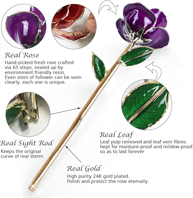 Sinvitron Gold Dipped Infinity Rose Forever Flower Decor, Resin Preserved Real Rose Birthday Gift for Women, Anniversary Present for Mom (Purple)