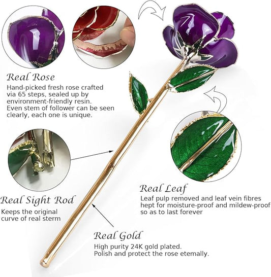 Sinvitron Gold Dipped Infinity Rose Forever Flower Decor, Resin Preserved Real Rose Birthday Gift for Women, Anniversary Present for Mom (Purple)