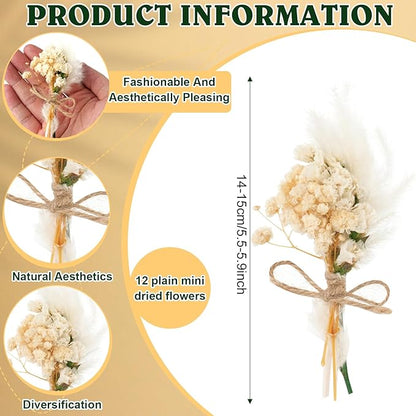12 Pack Dried Flower Bouquet Mini Natural Pampas Grass for Crafts Small Dried Embossing Florat with Stem Boho Artificial Arrangement Wedding Derco Flowers Bundles for Vases, Wedding, Home, Party
