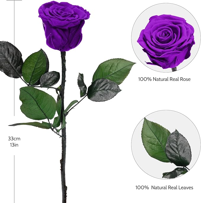 Yamonic Preserved Flowers Rose Gifts for Women Mom, Mothers Day Flowers Gifts for Mom, Real Flower Rose Birthday Gifts for Her, Grandma, Wife,Girlfriend Gifts on Christmas,Valentine's Day,Anniversary