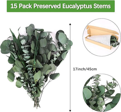 Eucalyptus Stems Mixed Dried Eucalyptus Bundle 15PCS Natural Eucalyptus Stems Greenery Plant for Wedding Bouquet Shower Hanging Home Spring Decoration