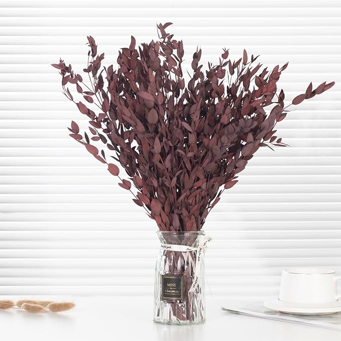 Dried Eucalyptus Leaves Preserved Greenery Stems, 8-14 PCS Eucalyptus Garland Branches, 4 OZ Red Leaves Plant Bundle for Wedding Wreath Party Home Decor Vase Filler