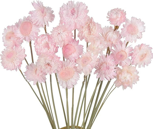 20 Pcs Natural Dried Daisy Flowers Bouquet Dried Flower Daisies Light Pink Dried Sunflowers Chrysanthemum with Stem for Wedding Farmhouse Table Vase Decor Home DIY Flower Arrangement