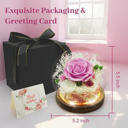 Preserved Flowers Birthday Gifts for Her Preserved Rose in Glass Dome Forever Fresh Flowers for Delivery Prime Eternal Pink Rose Gifts for Women Wife Mom Sister on Anniversary Valentines Day