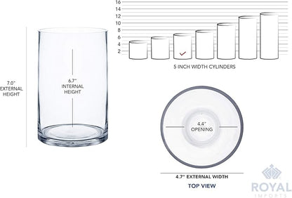 Royal Imports Flower Glass Vase Decorative Centerpiece for Home or Wedding - Cylinder Shape (5" Wide x 7" Tall, Clear)
