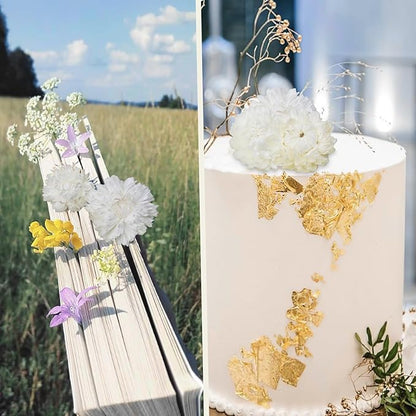 60 Pcs Natural Dried Daisy Flowers Heads Bulk Gerbera Daisies White Real Sunflowers Chrysanthemum Dry Flower Arrangements for Wedding Decor Home Party Decoration Headband DIY Craft