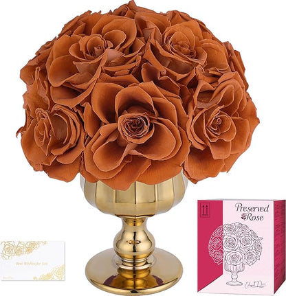 Forever Flowers Preserved Roses in Glass Vase, Fall Flower for Delivery, Eternal Roses Autumn Gift for Women, Table Centerpiece Flowers for Home Decor Wedding Birthday Anniversary Party