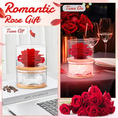 Women Gifts for Christmas Flower Gifts for Mom,Xmas Gift for Her,Preserved Pink Roses with Light,Forever Flowers Birthday Gifts for Women,Wife,Girlfriend Gifts Ideas on Birthday,Anniversary,Valentines