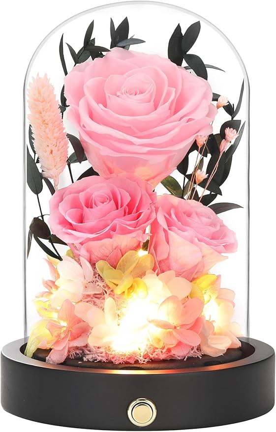 Preserved Flowers in Glass Dome, Christmas Pink Flowers for Delivery Prime, Forever Roses Valentines Day Anniversary Mothers Day Birthday Gifts for Mom Women Wife Girlfriend