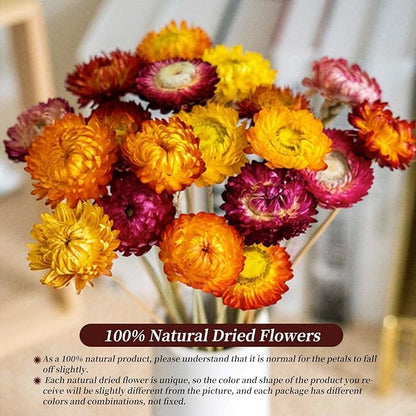 Dried Flowers Natural Daisy Mums Flower - 20 Stems Multicolor Daisies Artificial Sunflowers, Dry Fall Orange Flowers Bouquets for Vase, Wedding Home Farmhouse Decor, DIY Table Centerpiece Decoration