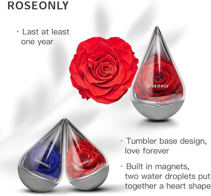 Preserved Rose with Water-Drop Shape, Eternal Flowers Gifts for Women Girlfriend Wife Mothers Real Roses Presents for Her Valentine's Day Christmas Birthday Mother's Day Anniversary (Purple)