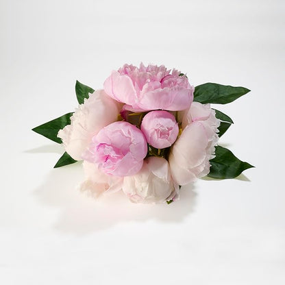 Peonies Artificial Flowers, Silk Pink Peony 2 Bouquets for Wedding, Faux Peony Flowers, Real Touch Peonies,Silk Flower Bouquet Peony Gift Box (Pink)