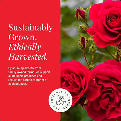 BloomsyBox - Red Roses - 24 Long Stems, Long Lasting, Hand-Tied in Eco-friendly, Vase Not Included, Fresh Flowers for Delivery – Gift for Birthday, Anniversary, Get Well, Congratulations, Wedding