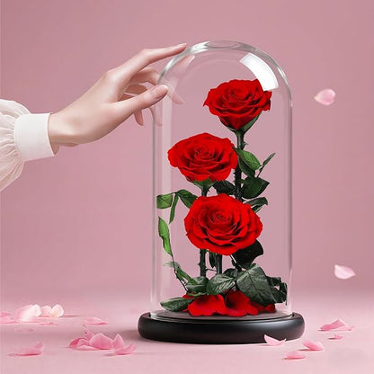 Forever Rose in Glass Dome,12.3 Inch Preserved Real Roses Gift, Long Lasting Eternal Flowers for Women, Mom, Wife, Valentine's Day, Anniversary, Red