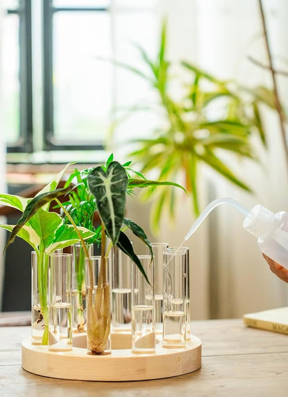 Melphoe Glass Bud Vases Small Flower Vase for Centerpieces Wedding Table Decorations, Home Decor, Propagation Station Plant Terrarium with Wooden Stand, Unique Plant Lover Gifts for Women (Beige)