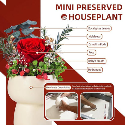 Preserved Floral Gift Set, Everlasting Rose in Small Ceramic Pot - Lasting Beauty for Home Table Decor, Mother's Day, Valentine's Day, Birthday, and Anniversary (Red)