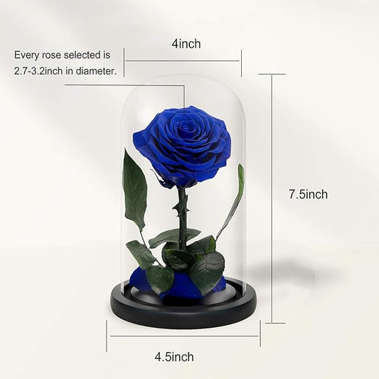 NATROSES Handmade Preserved Roses in Glass Dome, Blue Roses, Preserved Flowers Gifts for Women, Mothers Day Flowers