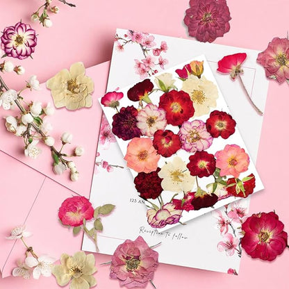 Rose Pressed Flowers for Crafts,TrendCart Real Natural Dry Pressed Flowers for Resin Molds Nails Art Candle Making Phone Cases DIY Art Crafts Jewelry Making