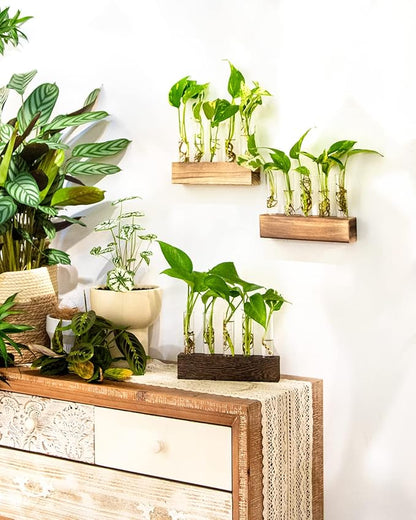 KAXYEW Desktop Glass Plant Propagation Station Test Tube Plant Terrarium in Wooden Stand for Hydroponic Plants Cutting Office Home Decoration Gift for Women (5 Test Tubes-BR)