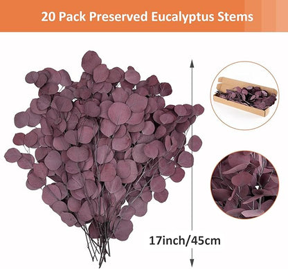Real Eucalyptus Stems 20PCS Dried Preserved Eucalyptus - Fresh Eucalyptus Silver Dollar Leaves for Shower - Red Branches for Wedding Home Party Vase Filler Fall Decor