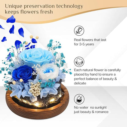 Preserved Flowers,Rose in Glass Dome with LED Light, Gifts for Her, Women, Mom,Grandma,Girlfriend, Wife - Style6