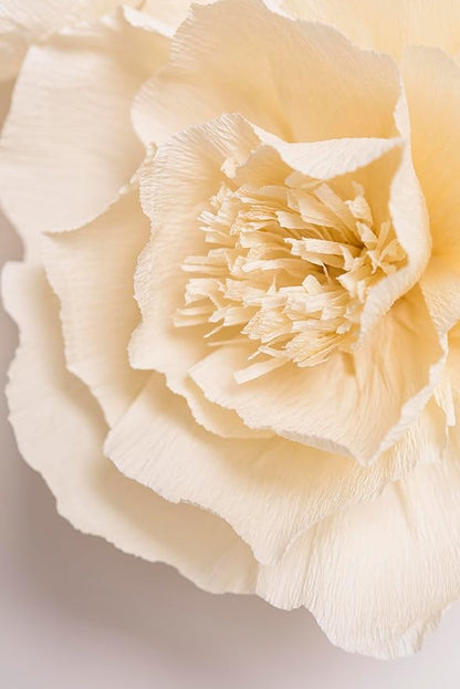 Crepe Paper Flowers Decoration for Wall, Flowers for Wedding Decor,Flower Backdrop Decor,Baby Shower,Birthday Party,Photo Backdrop,Archway Decor, Nursery Wall Decor(Beige,Set of 6)