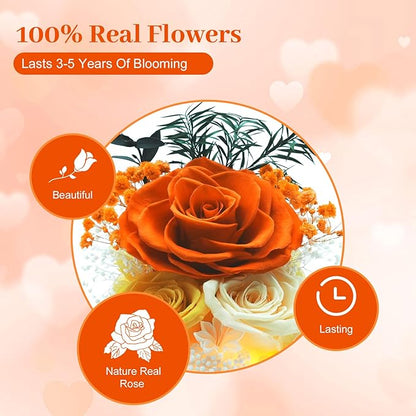 Preserved Rose Birthday Gifts for Women Preserved Flowers in Glass Dome Forever Fresh Flowers for Delivery Prime Red Eternal Rose Gifts for Her Valentines Day Anniversary for Wife Girlfriend